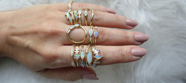 ✨ Celebrate the Magic of the Holiday Season ✨