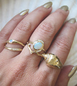 Set of 14k yellow gold rings on woman's hand, including queen's conch ring.